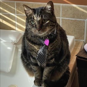 Meet your Posher, Catie